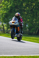 Middle Group Multicolour Bikes